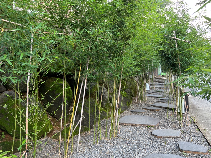 INFLORESCENCE04 新社-飛花落院 十年磨一劍 最難訂的餐廳超精緻的美食