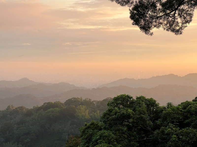 INFLORESCENCE36 新社-飛花落院 十年磨一劍 最難訂的餐廳超精緻的美食