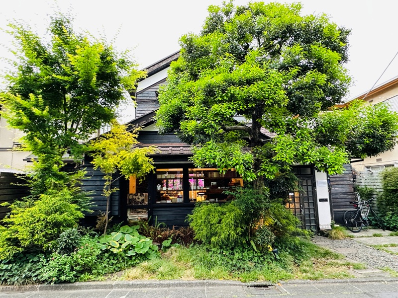Suginami-松庵文庫 日劇景點 百年杜鵑日式民宅@西荻窪