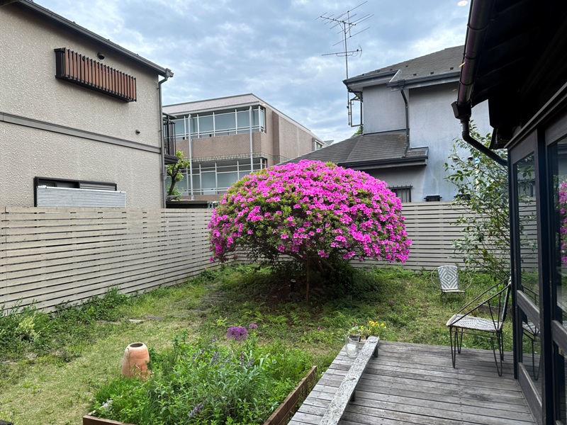 shouanbunko07 Suginami-松庵文庫 日劇景點 百年杜鵑日式民宅@西荻窪