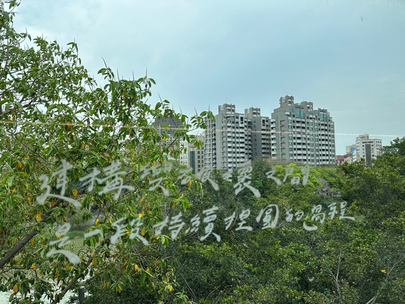 thepoolhsinchu15 新竹東區-春室The Pool 麗池公園網美咖啡館