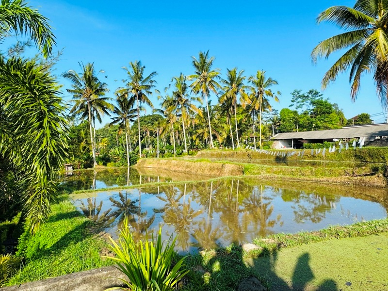 ubudvilla5007 Bali-Mandana Ubud Villa傳統建築 烏布花園Villa 私人泳池好享受