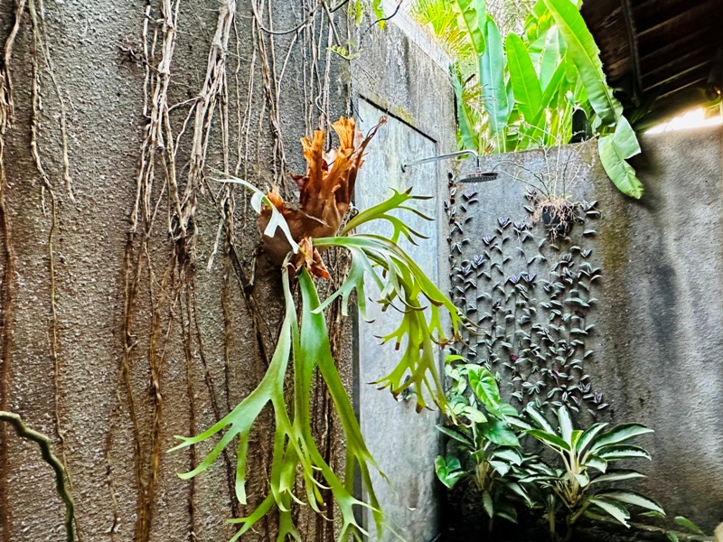 ubudvilla5027 Bali-Mandana Ubud Villa傳統建築 烏布花園Villa 私人泳池好享受