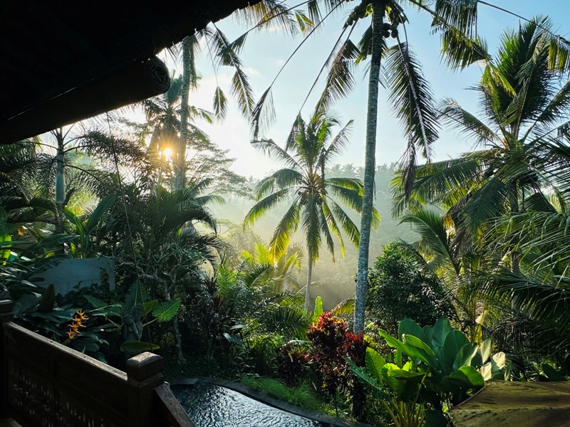 ubudvilla5028 Bali-Mandana Ubud Villa傳統建築 烏布花園Villa 私人泳池好享受