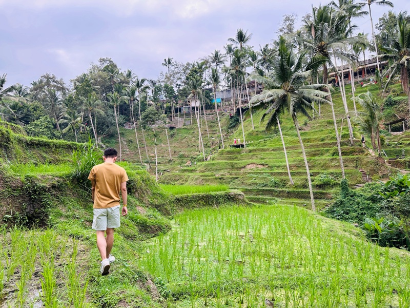 Bali-Tegallalang德哥拉朗梯田 Uma Ceking Resto and Swing烏布世界文化遺產