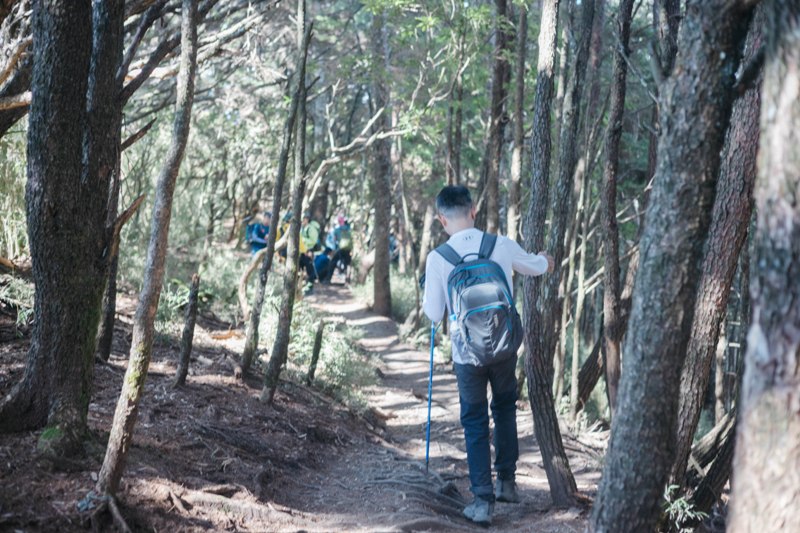 20220724-379A1671 信義-郡大山 坐車比爬山累...豔陽天出大景