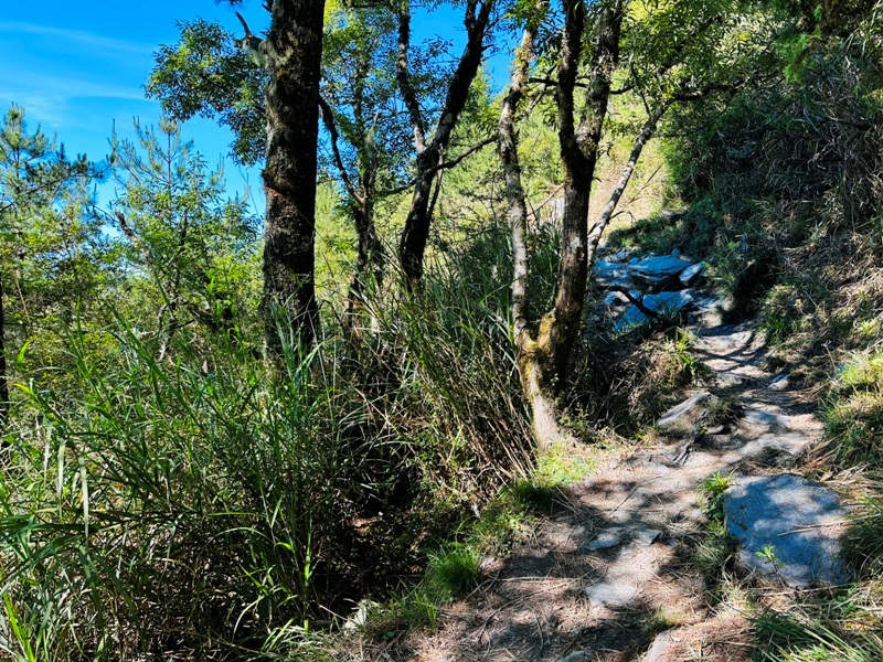 Guanshanling5210 桃源-百岳編號77 南橫三星之關山嶺山 視野開闊輕鬆走