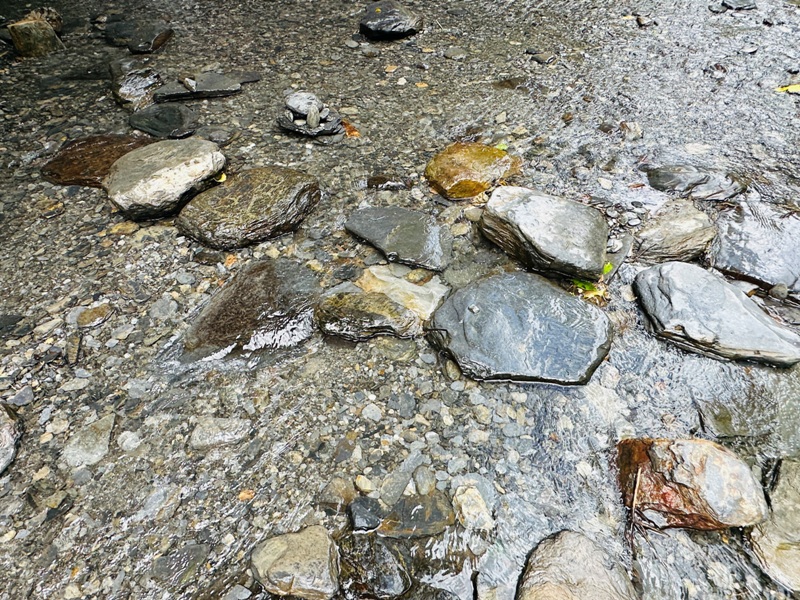 butterflywaterfall05 埔里-彩蝶瀑布 輕鬆舒適夏天最棒的行程