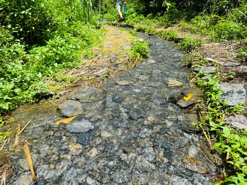 butterflywaterfall07 埔里-彩蝶瀑布 輕鬆舒適夏天最棒的行程