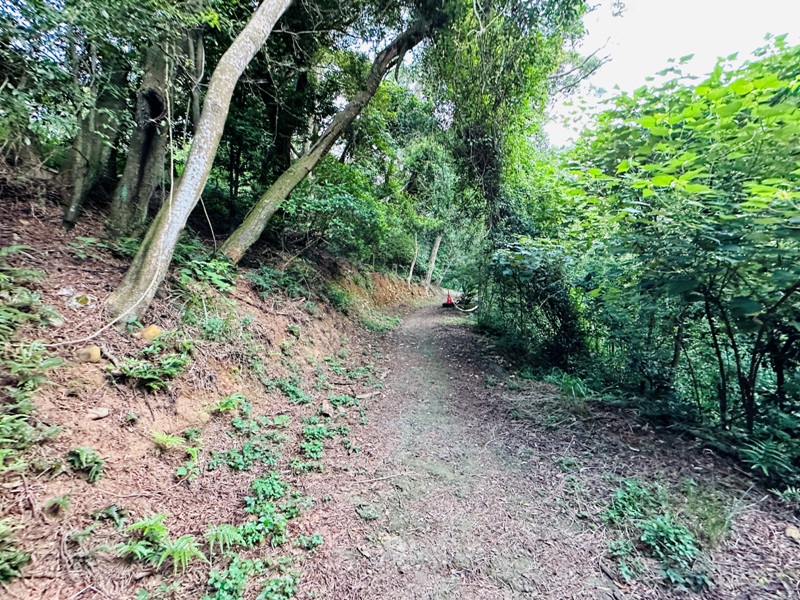 wenshan05 竹北-犁頭山.文山步道 輕鬆寫意賞高鐵