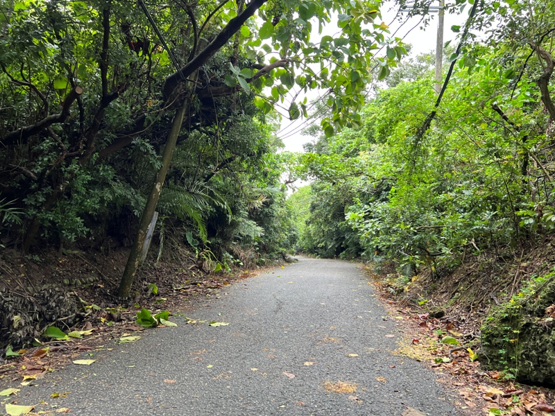 dagansan13 阿蓮-大崗山 颱風天撿小百岳 外掛盤龍峽谷一線天