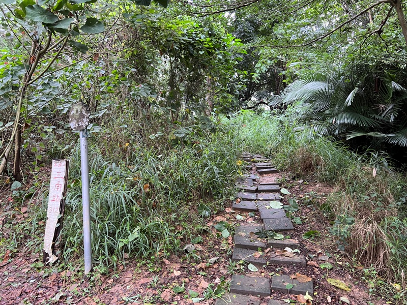 dagansan16 阿蓮-大崗山 颱風天撿小百岳 外掛盤龍峽谷一線天