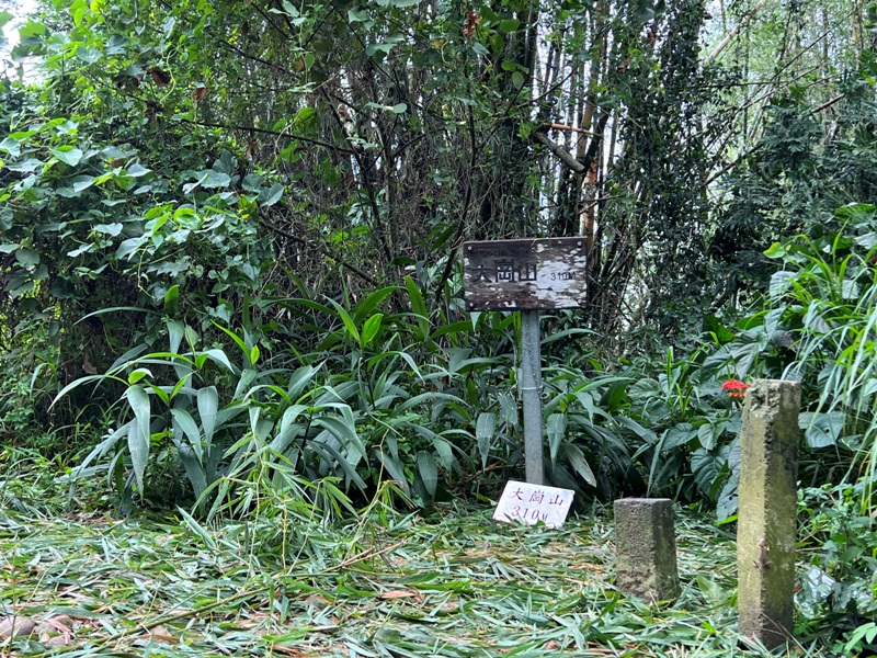 dagansan17 阿蓮-大崗山 颱風天撿小百岳 外掛盤龍峽谷一線天