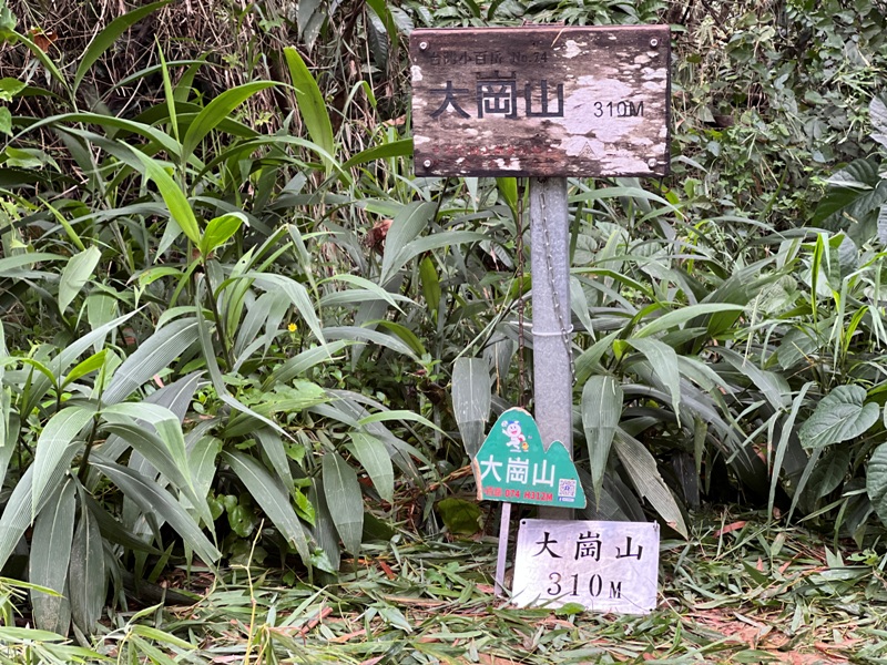 dagansan18 阿蓮-大崗山 颱風天撿小百岳 外掛盤龍峽谷一線天