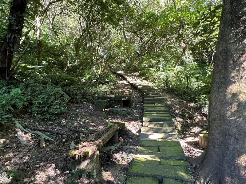 tienshangg0102 土城-15分鐘登頂太輕鬆 秋遊天上山太舒爽