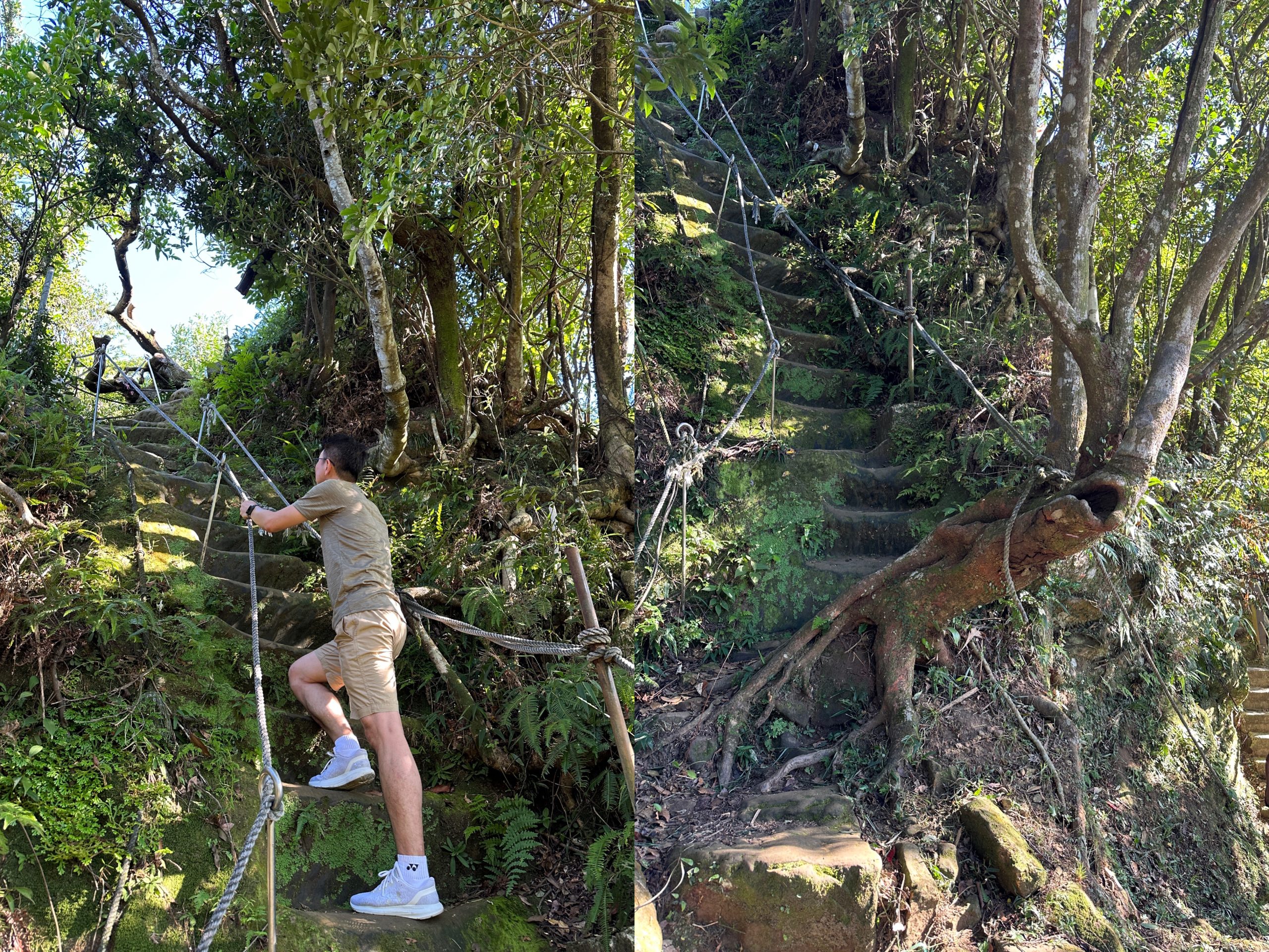 tienshangg0105-scaled 土城-15分鐘登頂太輕鬆 秋遊天上山太舒爽