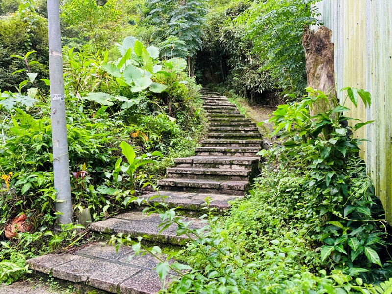 Tukuyue04 深坑-初秋的土庫岳 清爽舒適愜意的健行