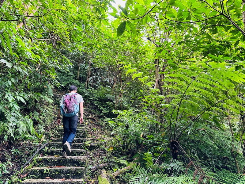 Tukuyue06 深坑-初秋的土庫岳 清爽舒適愜意的健行