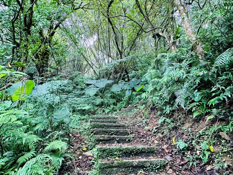 Tukuyue07 深坑-初秋的土庫岳 清爽舒適愜意的健行