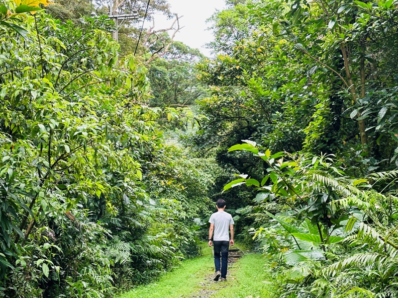 Tukuyue11 深坑-初秋的土庫岳 清爽舒適愜意的健行