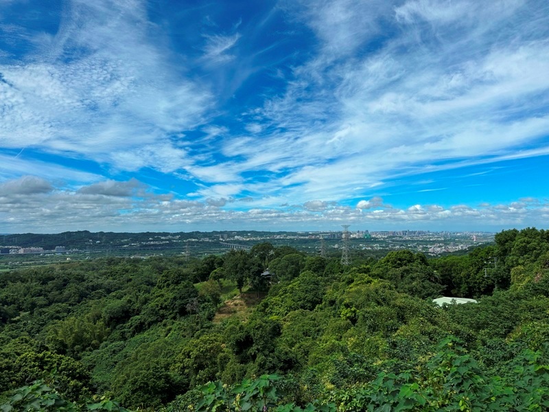 feifong10102 芎林-飛鳳山中坑山大板根 秋高氣爽最好的活動