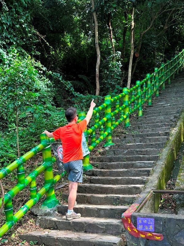 feifong10106-rotated-e1696940661377 芎林-飛鳳山中坑山大板根 秋高氣爽最好的活動