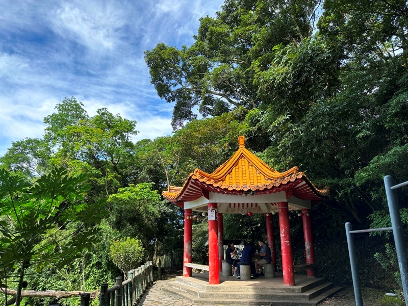 feifong10107 芎林-飛鳳山中坑山大板根 秋高氣爽最好的活動