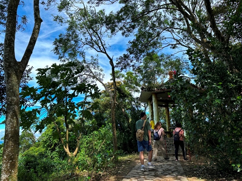 feifong10110 芎林-飛鳳山中坑山大板根 秋高氣爽最好的活動