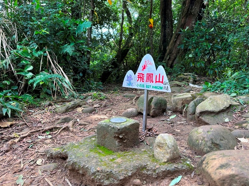 feifong10112 芎林-飛鳳山中坑山大板根 秋高氣爽最好的活動