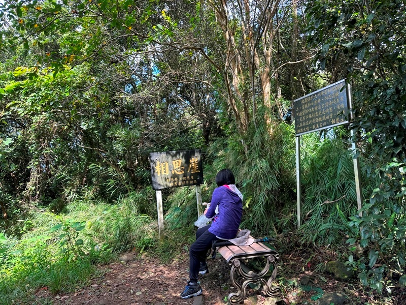 feifong10115 芎林-飛鳳山中坑山大板根 秋高氣爽最好的活動