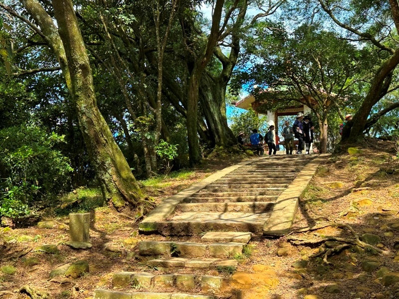 feifong10116 芎林-飛鳳山中坑山大板根 秋高氣爽最好的活動