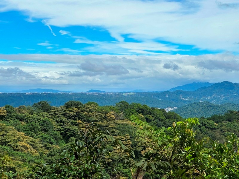 feifong10119 芎林-飛鳳山中坑山大板根 秋高氣爽最好的活動
