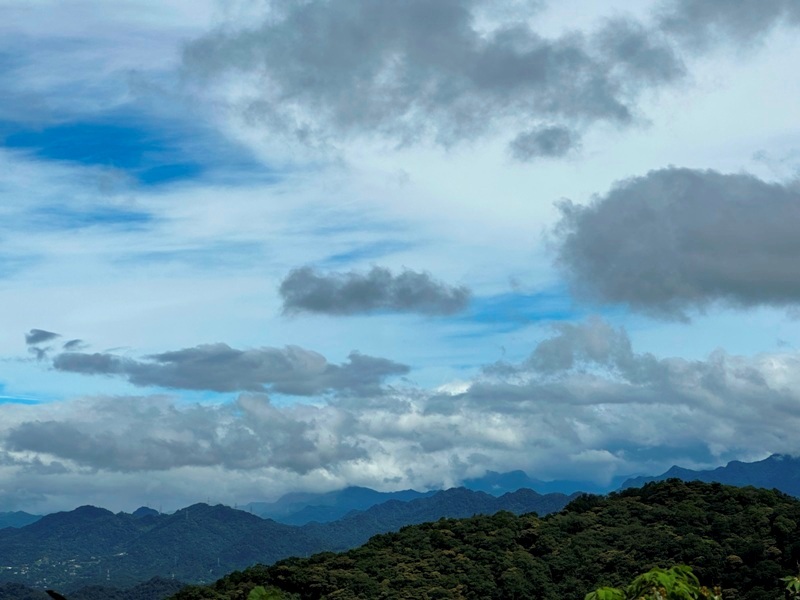 feifong10120 芎林-飛鳳山中坑山大板根 秋高氣爽最好的活動