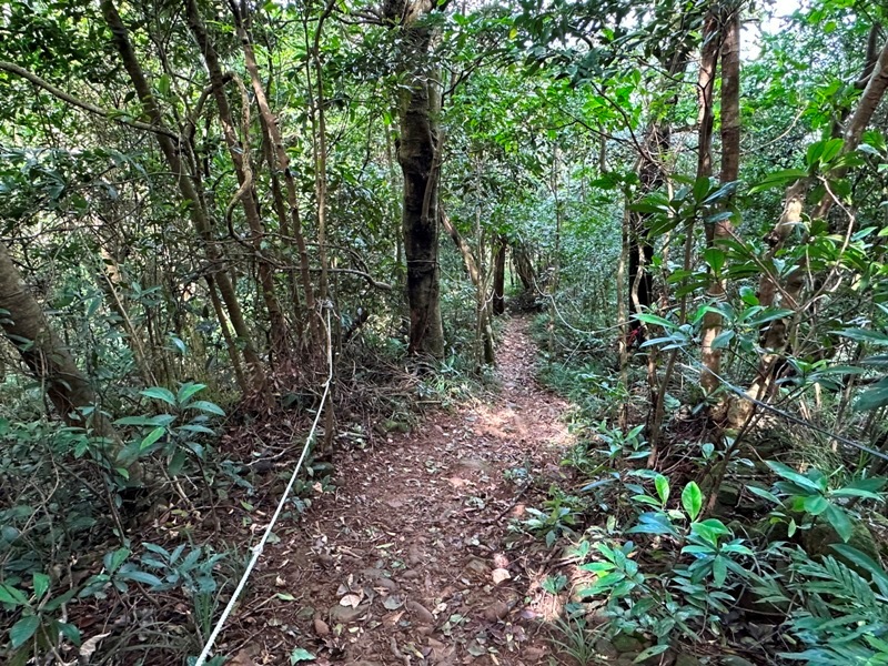feifong10124 芎林-飛鳳山中坑山大板根 秋高氣爽最好的活動