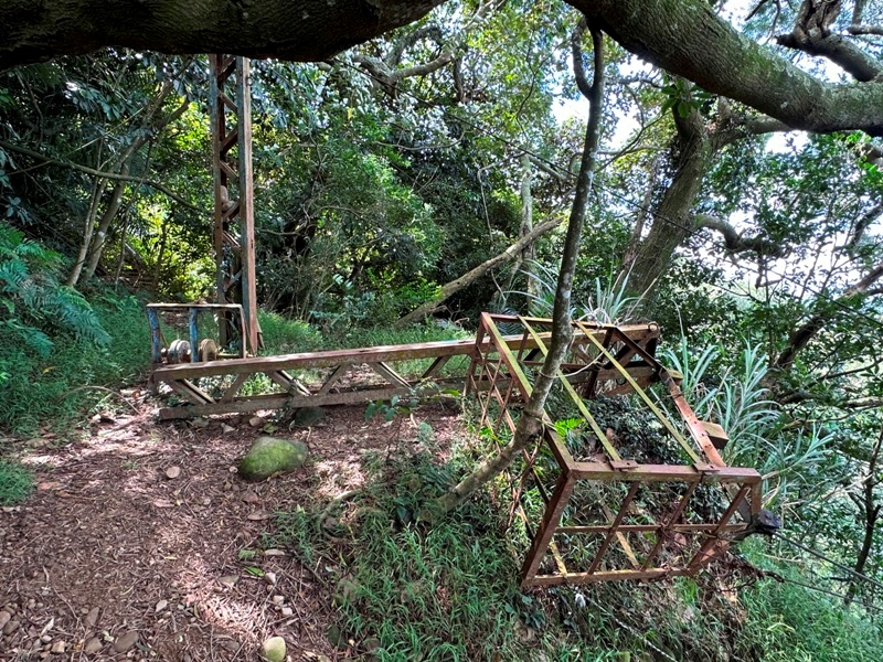 feifong10126 芎林-飛鳳山中坑山大板根 秋高氣爽最好的活動