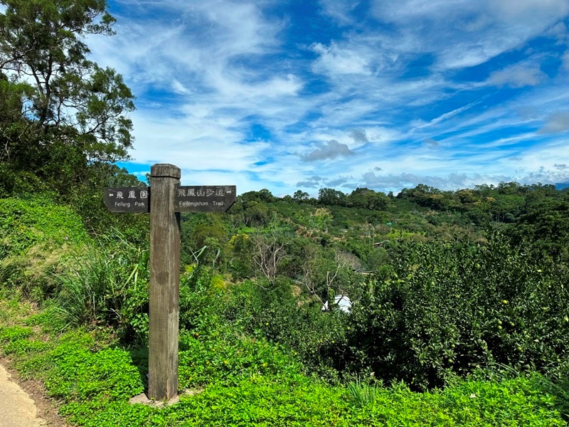 feifong10128 芎林-飛鳳山中坑山大板根 秋高氣爽最好的活動