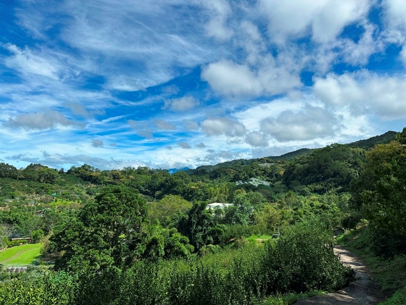 feifong10129 芎林-飛鳳山中坑山大板根 秋高氣爽最好的活動