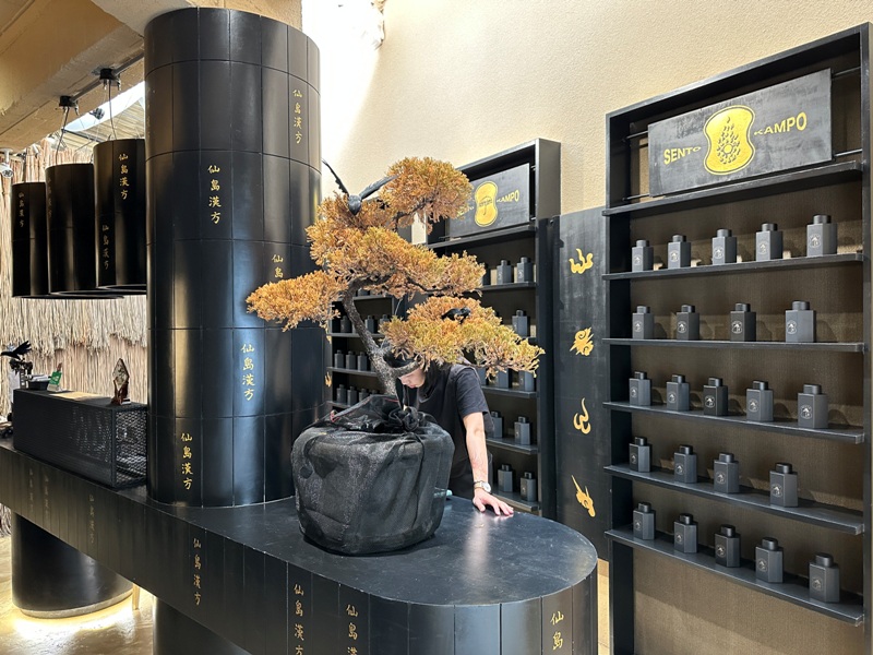 sento05 大同-仙島 奉一碗日月漢引的東方茶屋