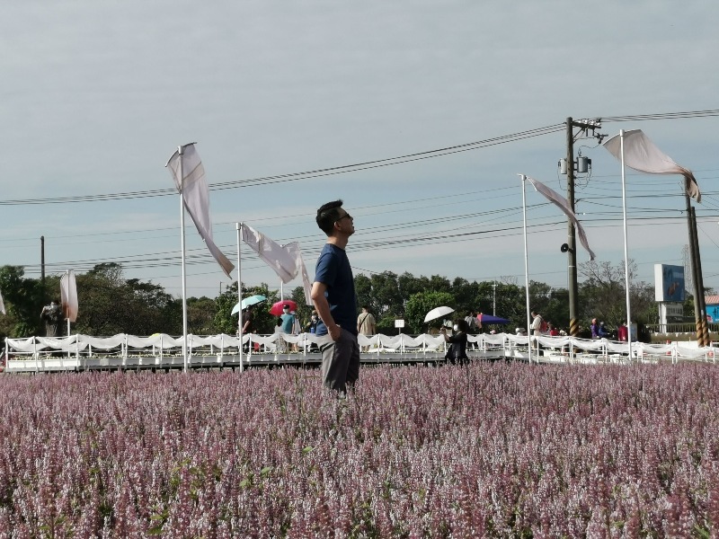 bedofflower30 楊梅-好窩有花 楊梅故事館老宅會說故事