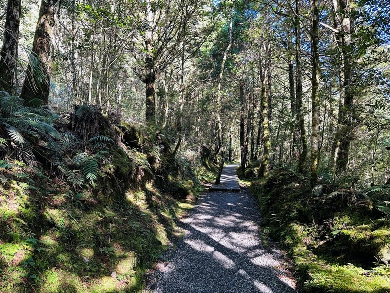 cueifong06 大同-噓! 請安靜 最安靜的步道賞最美的翠峰湖