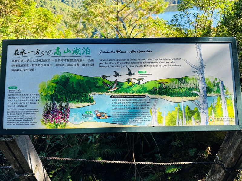 cueifong07 大同-噓! 請安靜 最安靜的步道賞最美的翠峰湖