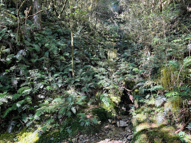 cueifong21 大同-噓! 請安靜 最安靜的步道賞最美的翠峰湖