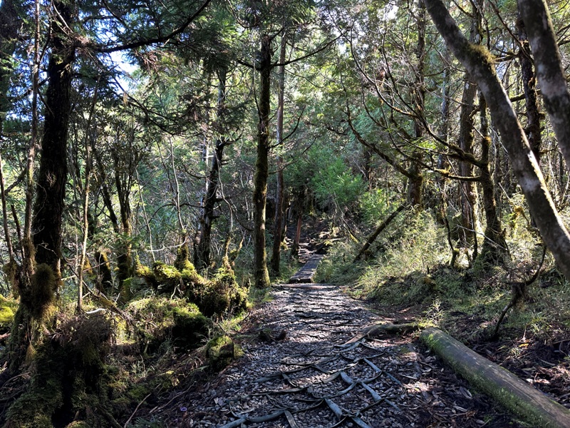 cueifong24 大同-噓! 請安靜 最安靜的步道賞最美的翠峰湖