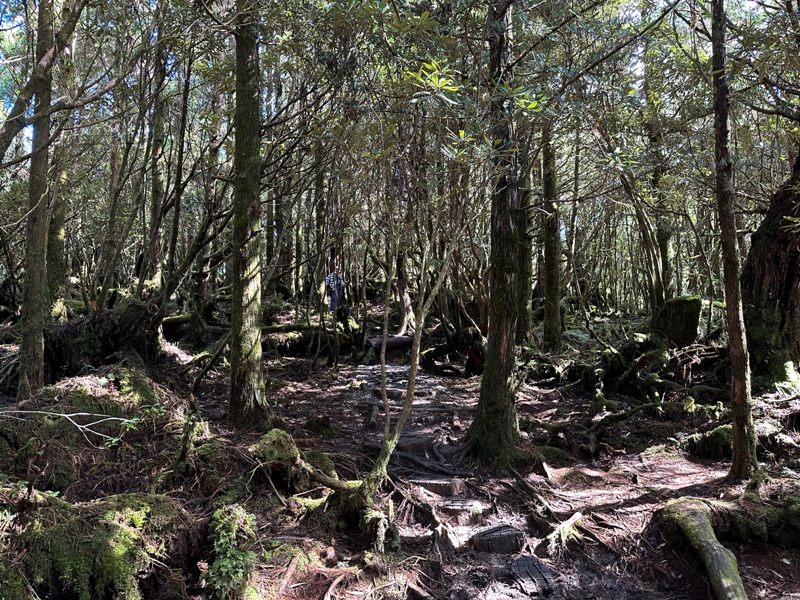 cueifong26 大同-噓! 請安靜 最安靜的步道賞最美的翠峰湖