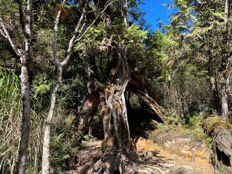 cueifong27 大同-噓! 請安靜 最安靜的步道賞最美的翠峰湖