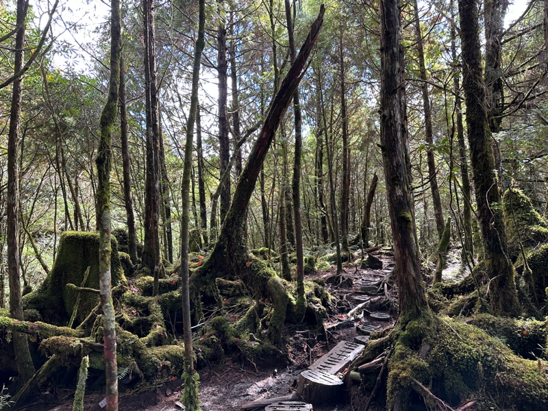 cueifong28 大同-噓! 請安靜 最安靜的步道賞最美的翠峰湖