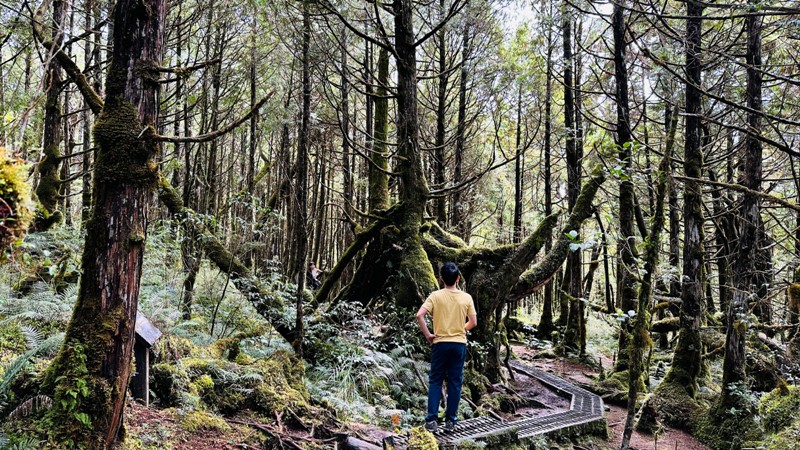 cueifong29 大同-噓! 請安靜 最安靜的步道賞最美的翠峰湖