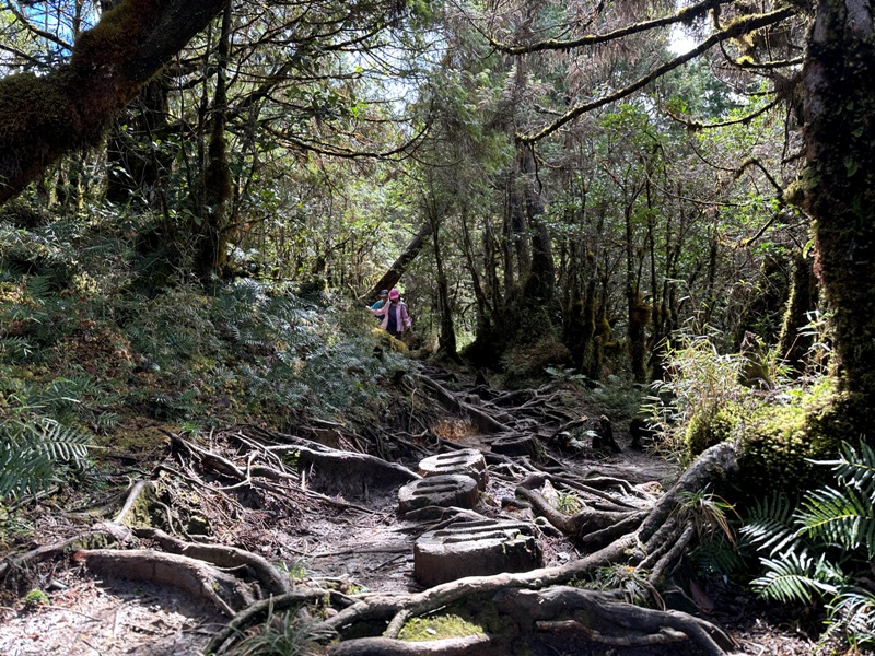 cueifong31 大同-噓! 請安靜 最安靜的步道賞最美的翠峰湖