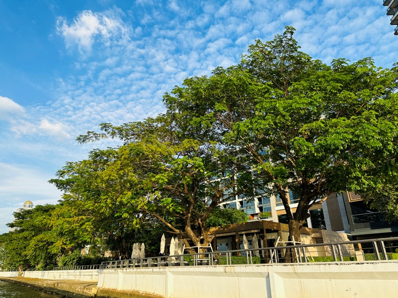 Bangkok-Phra Nakhon by Capella解鎖賞昭披耶河河景喝下午茶