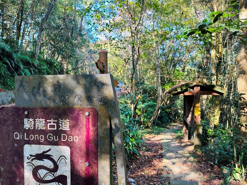 橫山-騎龍古道 簡單但有點冷門 搭配產業道路走的好愜意 橫山-騎龍古道 簡單但有點冷門 搭配產業道路走的好愜意